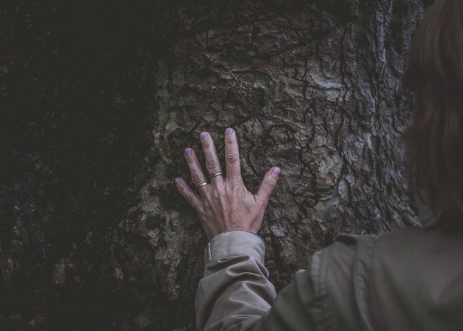 Мъжки пръстени