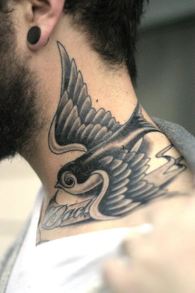 Tatuaje de golondrina para hombre - Tatuaje de golondrina para hombre - Tatuaje de golondrina en el cuello para hombre