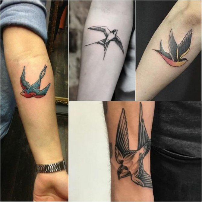 Tatuaje de golondrina para hombre - Tatuaje de golondrina en el antebrazo masculino