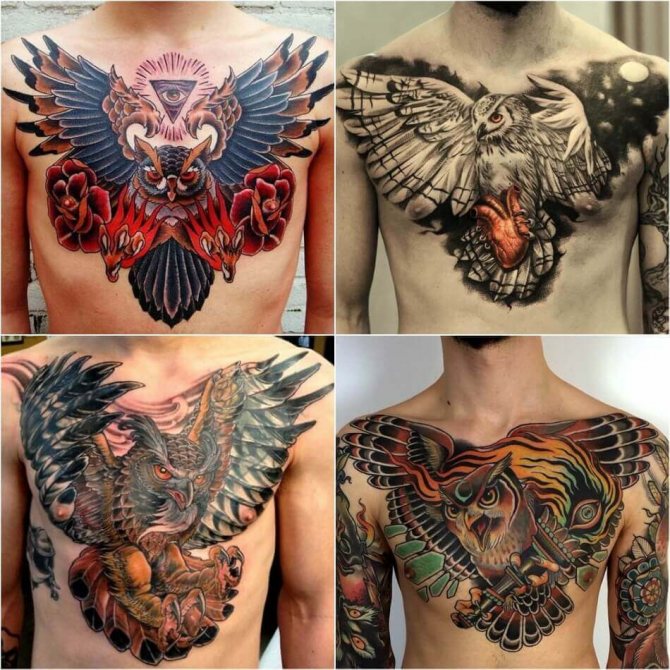 Tatouage de la poitrine pour les hommes - Tatouage de la poitrine pour les hommes - Tatouage de la poitrine pour les hommes - Hibou