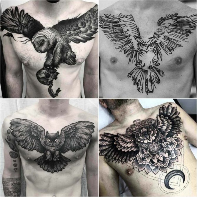 Tatouage poitrine homme - Tatouage poitrine homme - Tatouage poitrine homme hibou