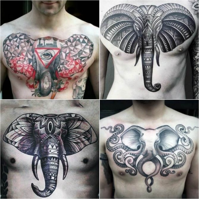 Male elephant tattoos - Examples and Sketches - Elephant Tattoo for Male