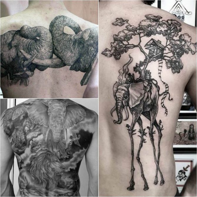 Male elephant tattoos - Examples and Sketches - Elephant Tattoo for Male