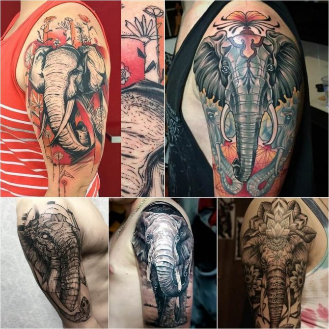Male elephant tattoos - Examples and Sketches - Elephant Tattoo for Male