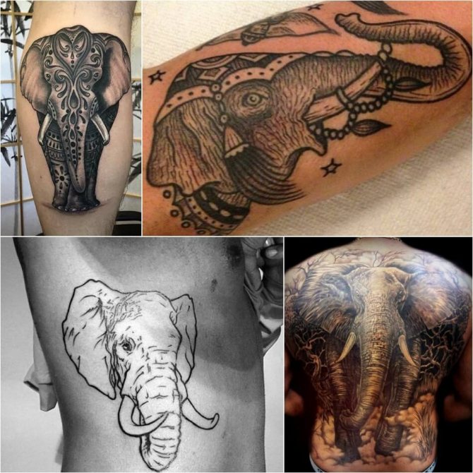 Male elephant tattoos - Examples and Sketches - Elephant Tattoo for Male