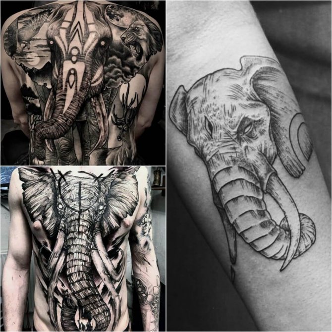 Male elephant tattoos - Examples and Sketches - Elephant Tattoo for Male