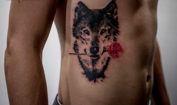 Tatouage d'un loup avec une rose entre les dents sur le corps d'un homme