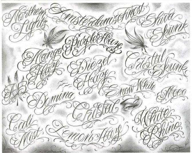 Inscriptions en espagnol