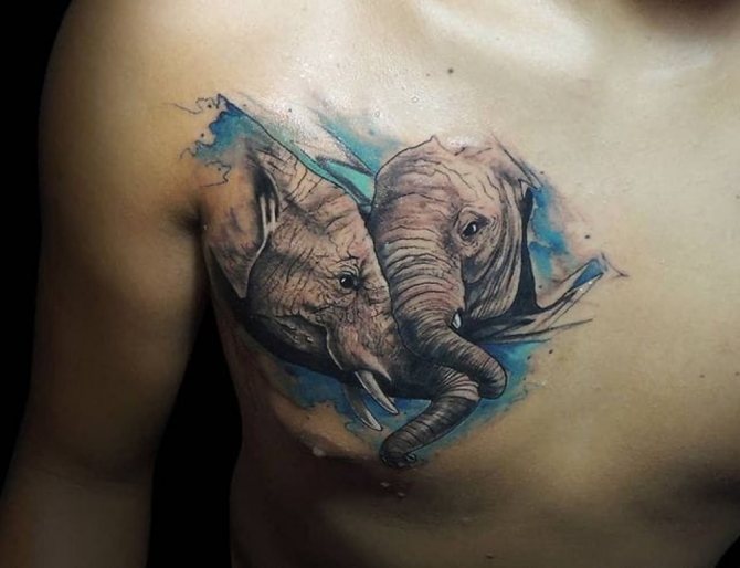 tatuaje de elefante