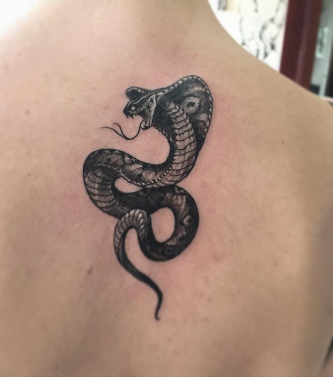 tatouage de serpent