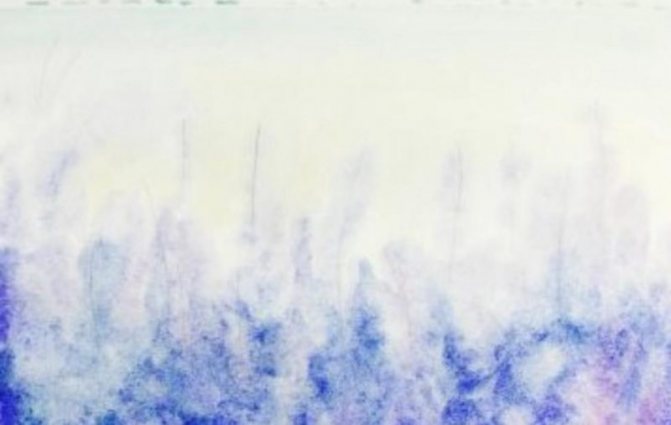 dessiner la lavande en phases