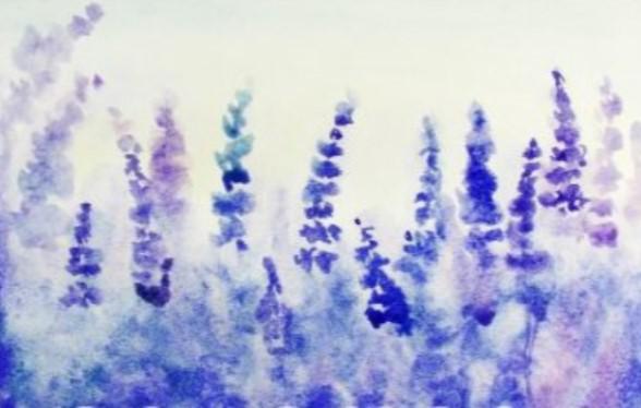 débutants pour peindre la lavande