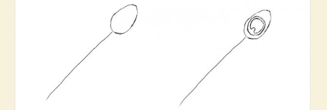 Dessinez un ovale, puis un ovale dentelé à l'intérieur.