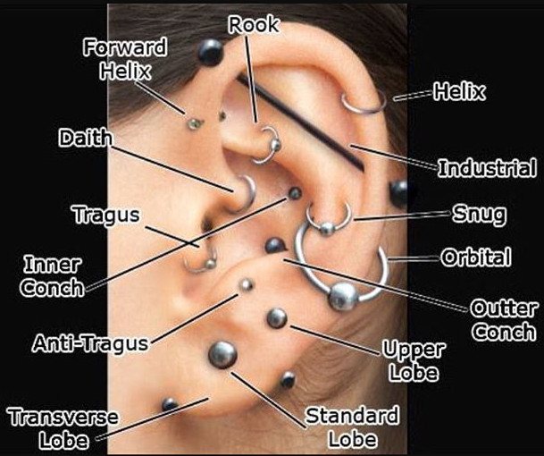Nomi di piercing alla cartilagine