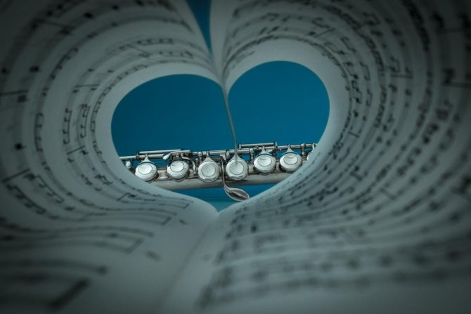 Sedler foldet i form af et hjerte