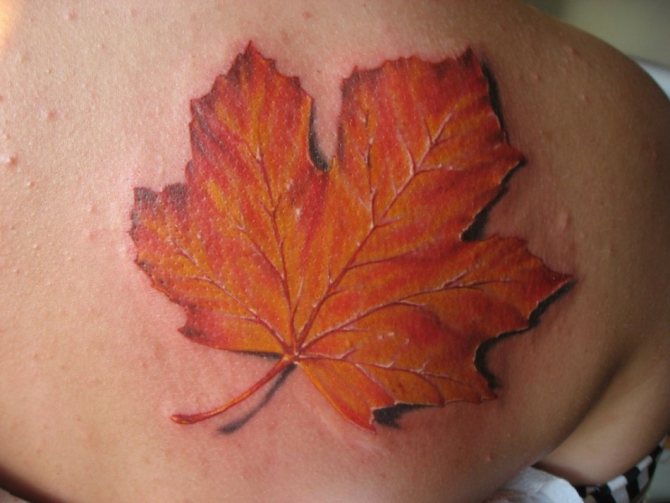 3D Maple Leaf Tattoo