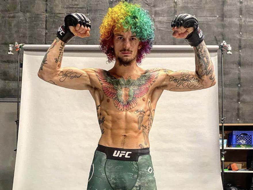 Aigle sur la poitrine de Sean O'Malley