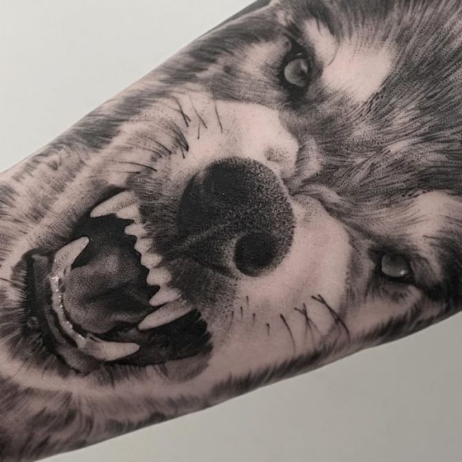tatouage de sourire de loup