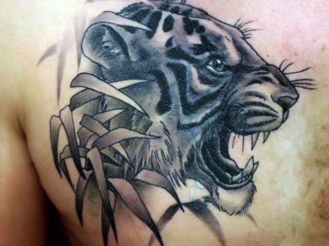 Sourire de tigre. Photo, signification, sur l'épaule, la poitrine, le bras, la jambe