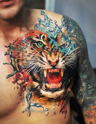 Tigris vigyorog. Fénykép, jelentés, vállon, szegycsonton, karon, lábon