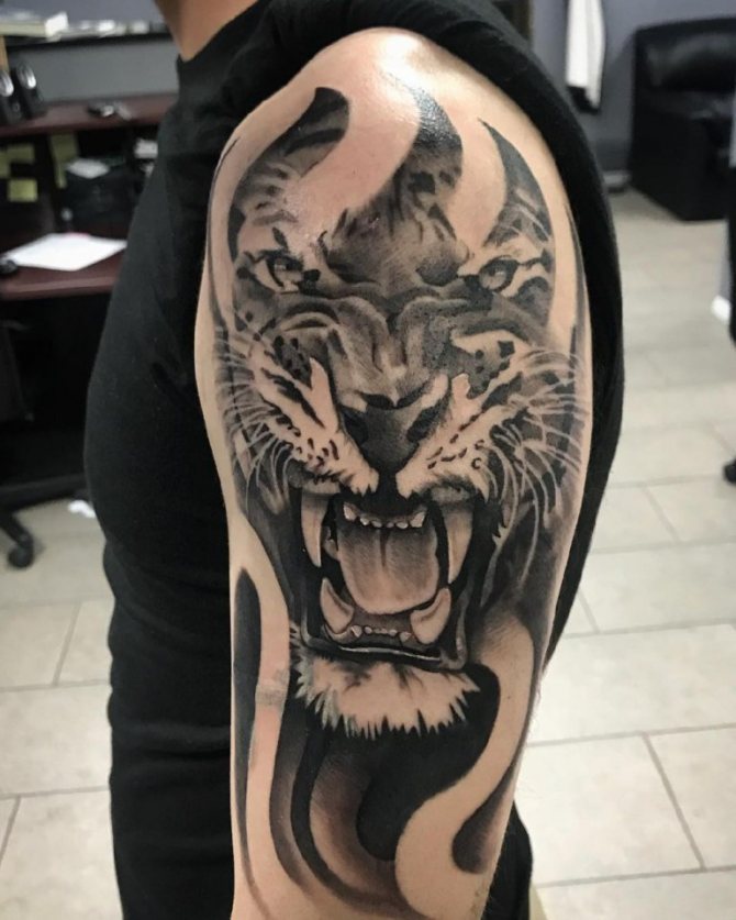 tiger grin tattoo