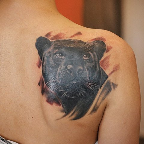 Pantera en la escápula del brazo de una niña