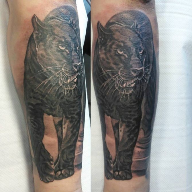 significado del tatuaje de pantera