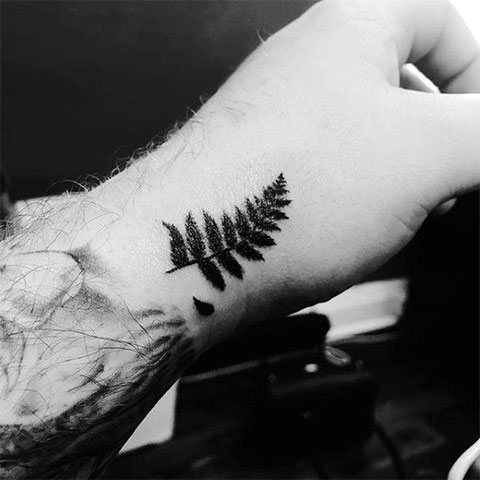 Fern on the wrist