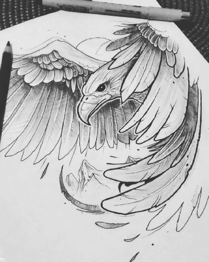 Vznášející se orel