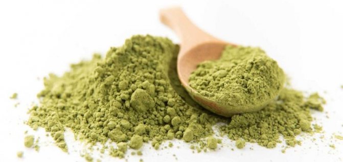 Mehendi Paste koduseks kasutamiseks