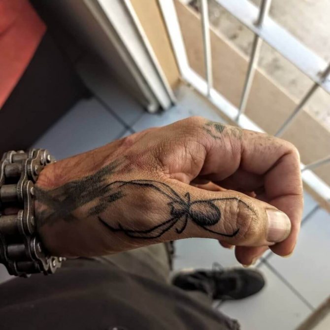 Araignée sur le pouce