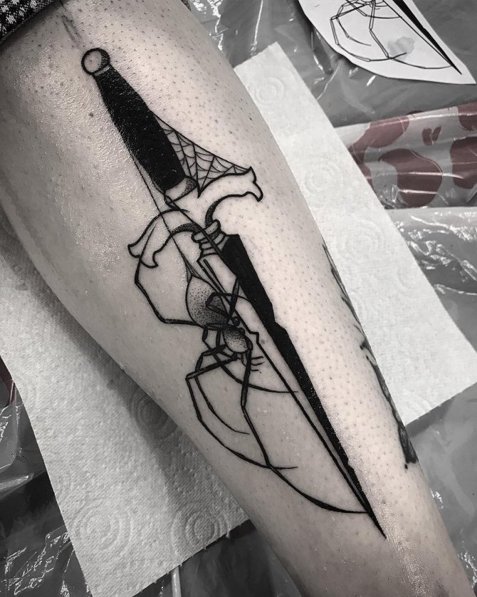 Spider Sits on the Dagger