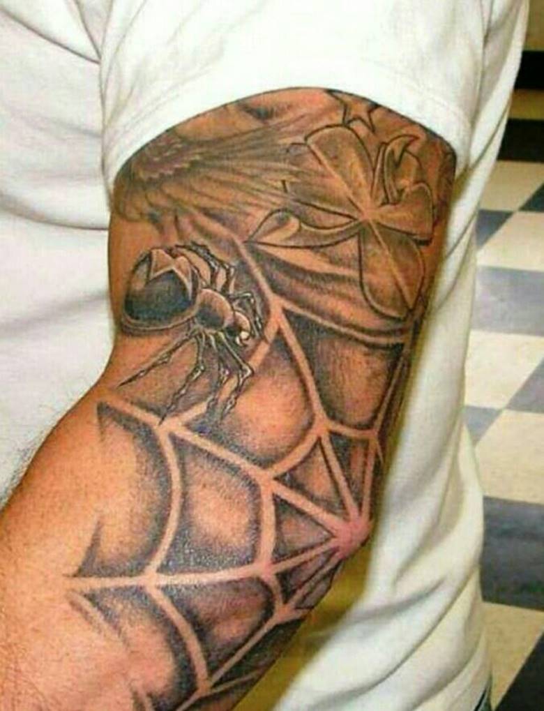 Araignée dans une toile d'araignée