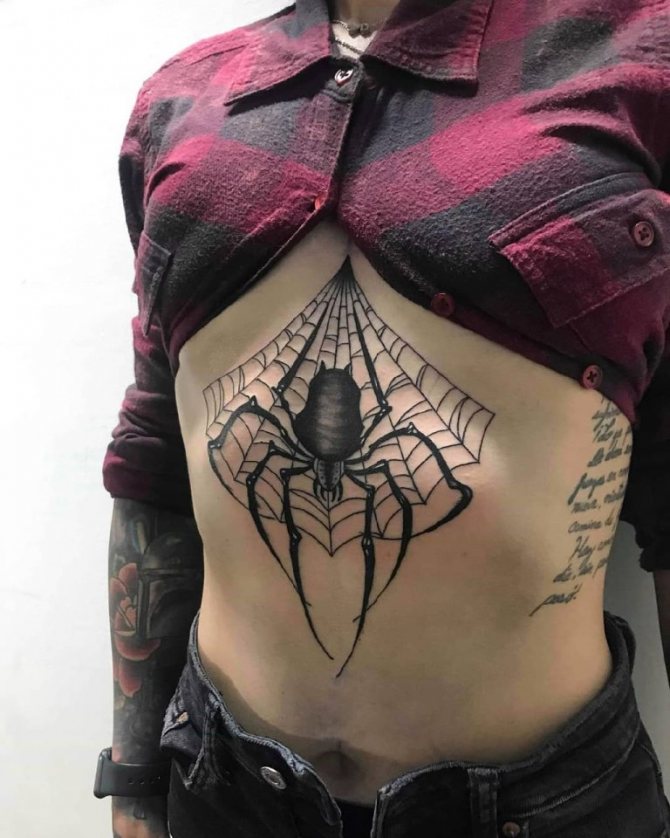 toile d'araignée sur la main