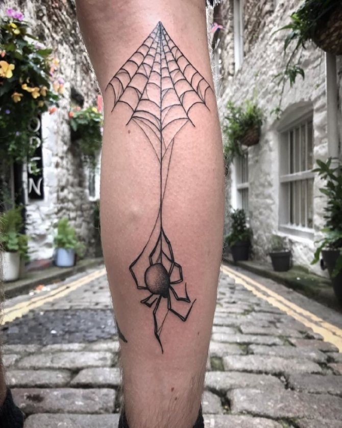 signification de la toile d'araignée