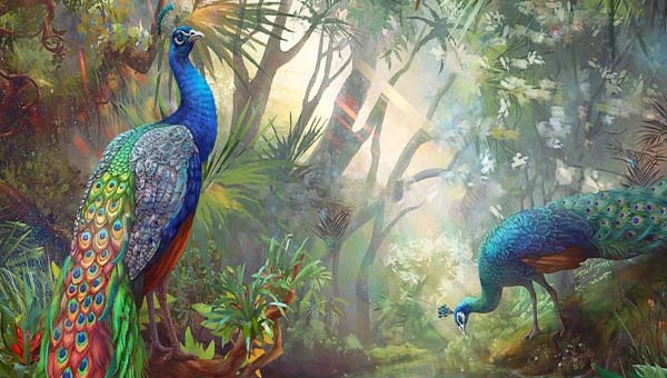 ジャングルの中のピーコック