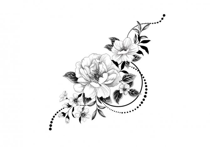 bazsarózsa tetoválás vázlat