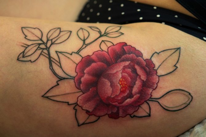 bazsarózsa a csípő tetováláson