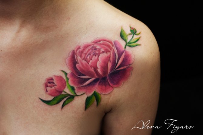 bazsarózsa tetoválás jelentése