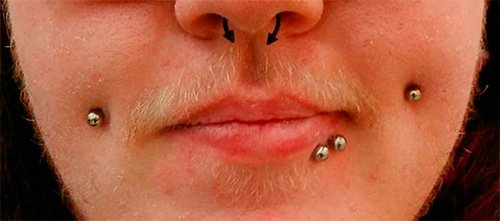 Photo d'un dahlia percé