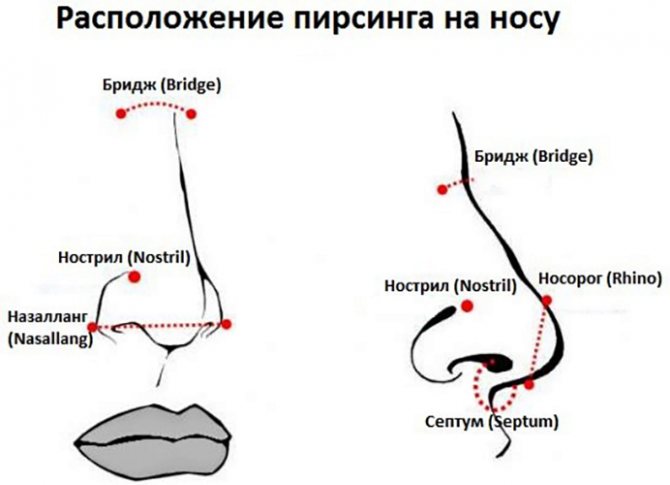 Nail wing piercing. Name, home care, reviews