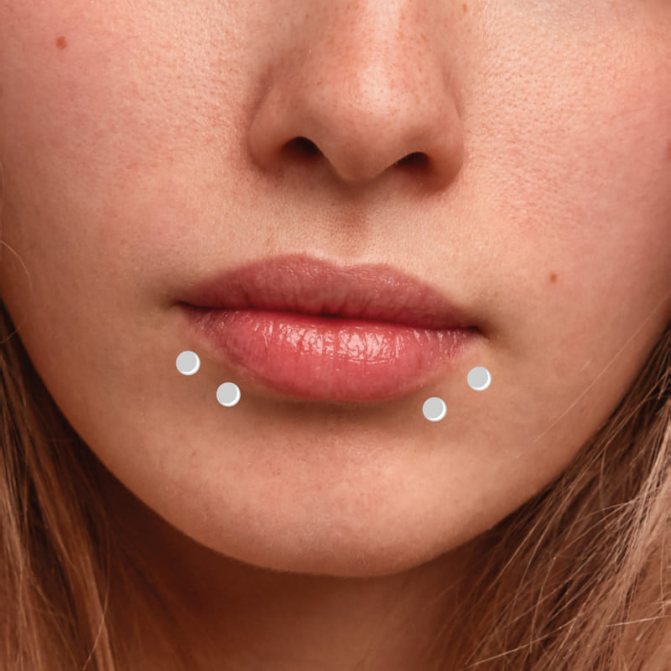 Piercings Shark Bites