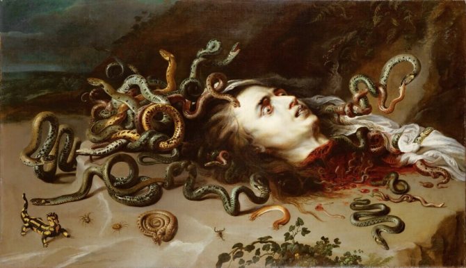 Peter Paul Rubens - Hoved af Medusa