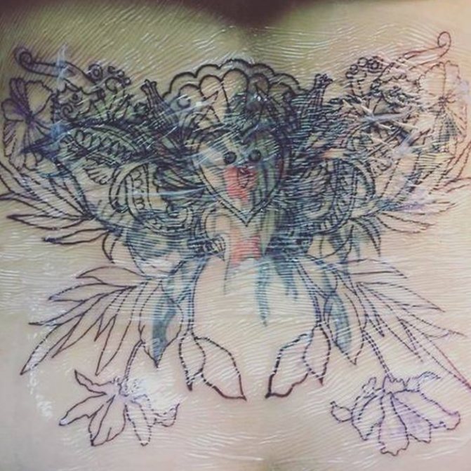 Tatoveringstape på ryggen