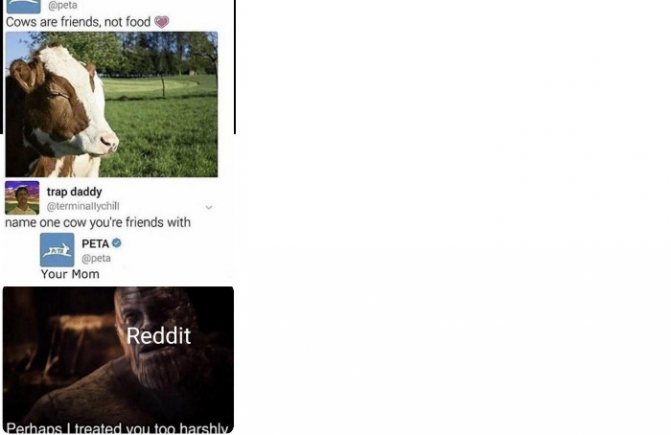 Une collection de mèmes en anglais, image 15