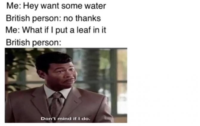 Une collection de mèmes en anglais, image 18