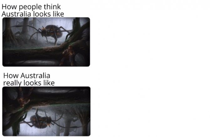 Une collection de mèmes en anglais, image 20