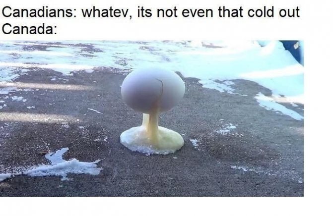 Une collection de mèmes en anglais, image 23