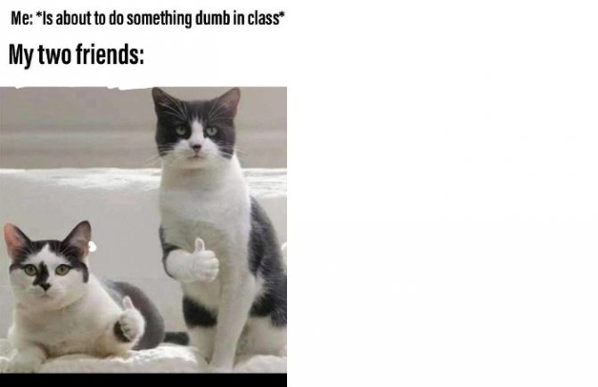 Une collection de mèmes en anglais, image 30