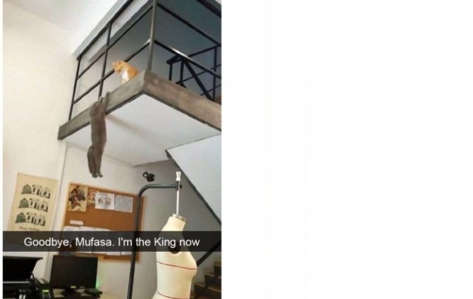 Une collection de mèmes en anglais, image 31